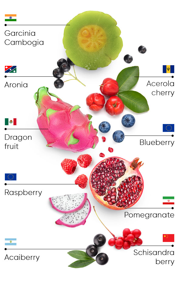 Ingredients Banner Superfruit