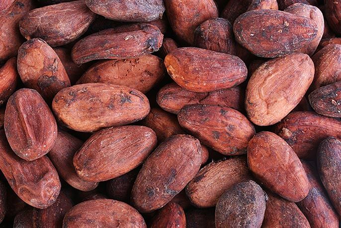 cacao-beans.jpg