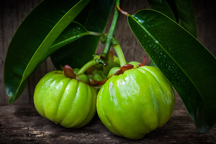 Garcinia-Cambogia