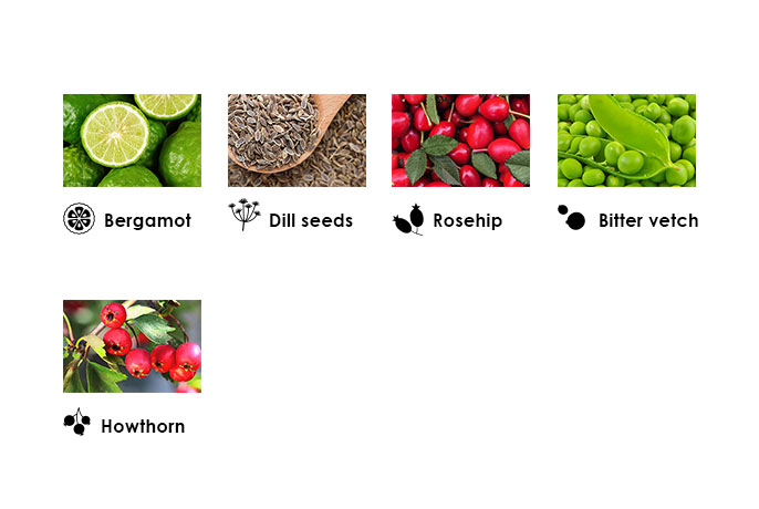 see-all-ingredients-banner-detox-D-3.jpg