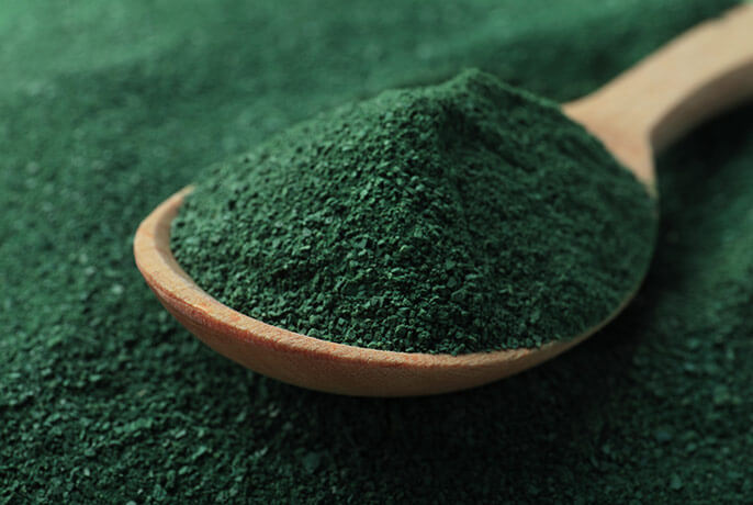 Spirulina-1.jpg