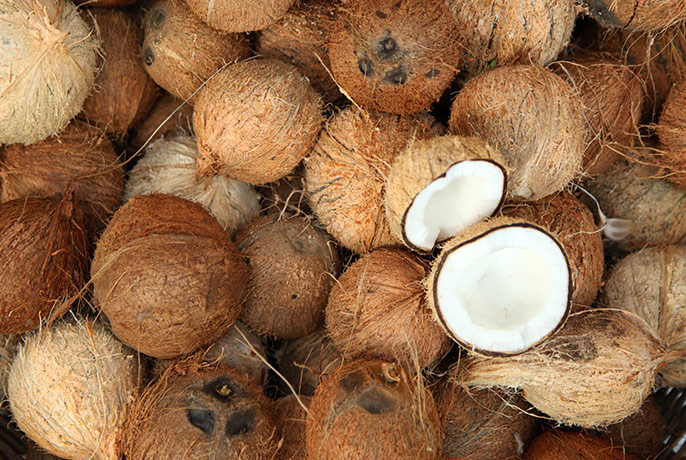 coconut.jpg